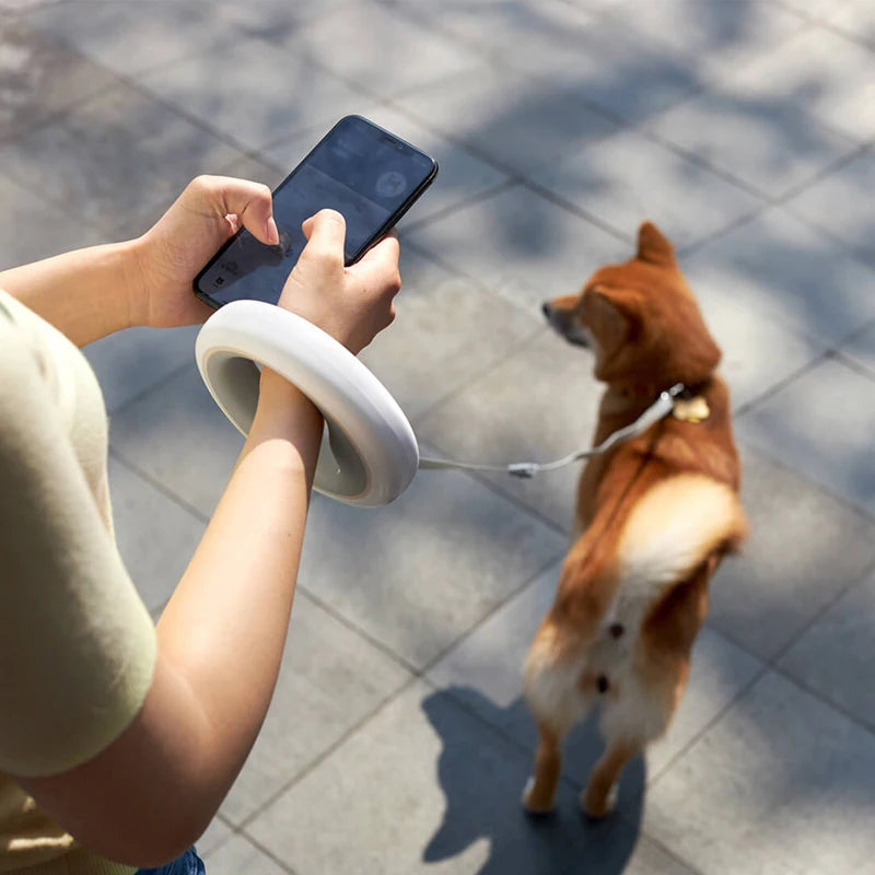Retractable Walking Leash