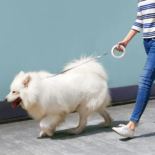 Retractable Walking Leash